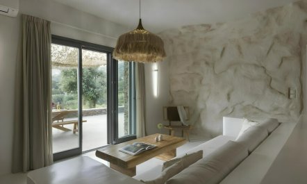 Olive Grove Horizons 4
