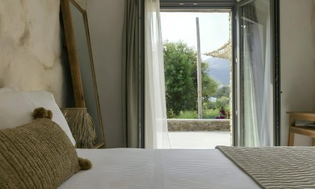 Olive Grove Horizons 8