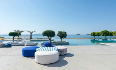Stellar Paradise 6