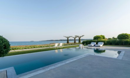 Stellar Paradise 8