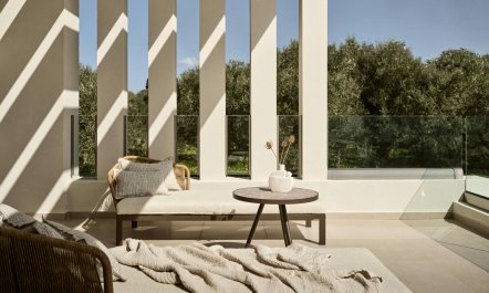 Olive Grove View 4