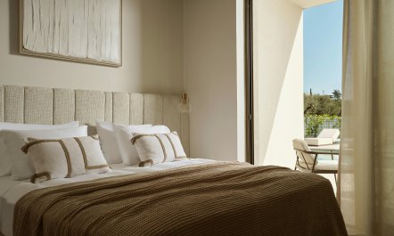 Olive Grove View 9