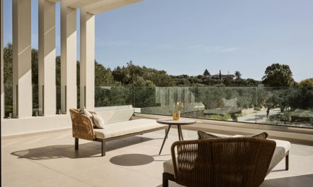 Olive Grove View 2