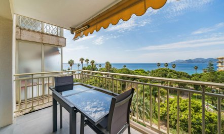 Cannes Outlook
