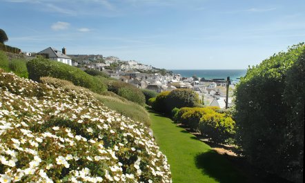 Cornish Shores 2