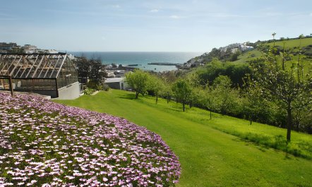 Cornish Shores 4