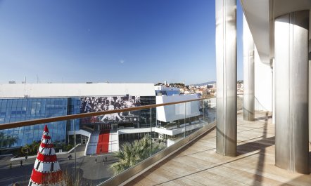 Red Carpet Cannes 3