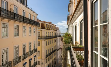 Flowers of Chiado 2