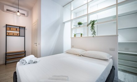 Serene Renaissance 8