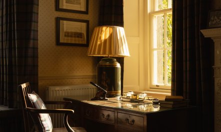Gentle Highland Vista 5