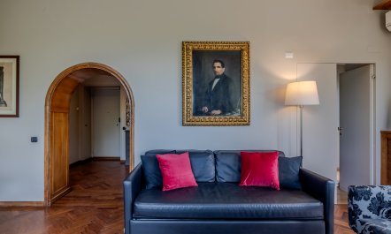 Salici 4