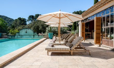 Provence Dreaming