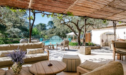Provence Dreaming 3
