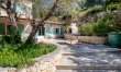 Provence Dreaming 6