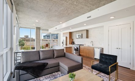 Urban Phoenix Vista 3