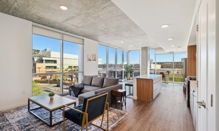 Urban Phoenix Vista 2