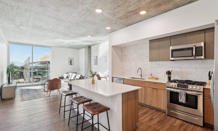 Urban Phoenix Vista 9