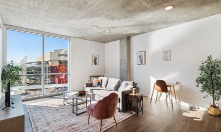 Urban Phoenix Vista 6