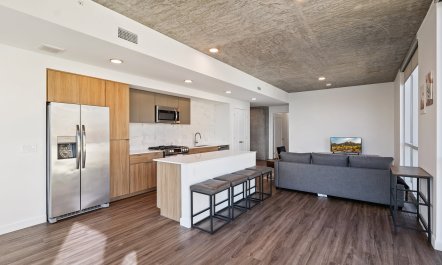 Urban Phoenix Vista 4