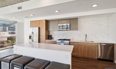Urban Phoenix Vista 8