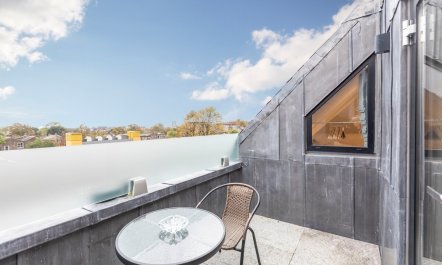 Skylights & Rooftops