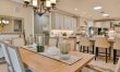 Sandy Crest 9