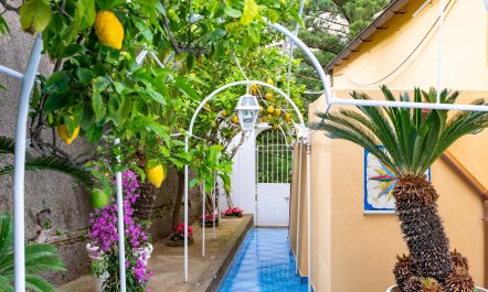 Positano Suspended 3