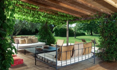 Little Vineyard 4