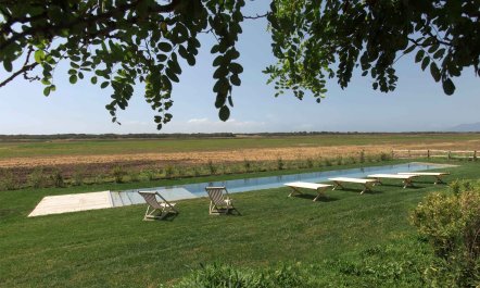 Little Vineyard 6
