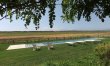 Little Vineyard 6