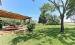 Little Vineyard 5