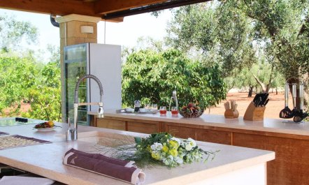 The Elegant Vista 7