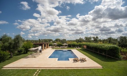 The Elegant Vista 5