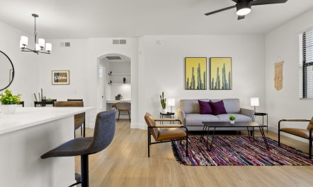 Sonoran Light