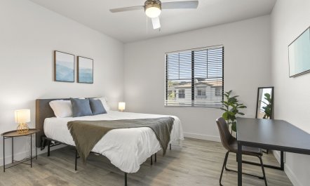 Desert Leisure 9