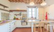 The Frantoio Olive 1