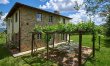 Between the Vines 0