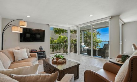 Bay & Palms 3