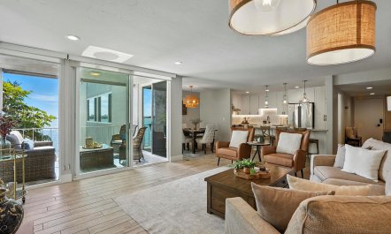 Bay & Palms 4