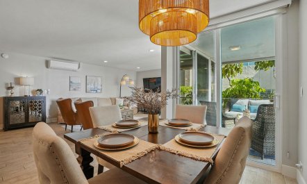 Bay & Palms 5