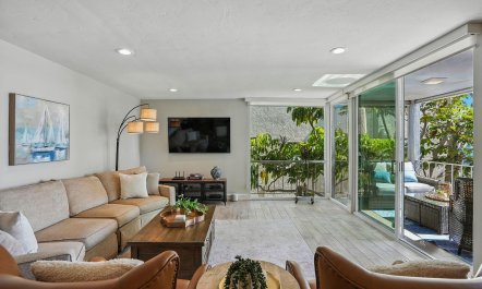 Bay & Palms 1