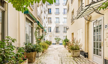 Courtyard Charmer 1