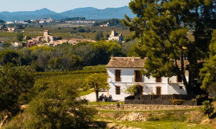 The Winegrower's Terrace