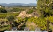 The Winegrower's Terrace 2