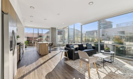 Light Oasis 2