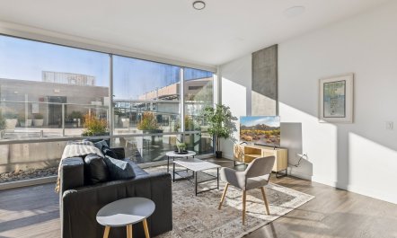 Light Oasis 3