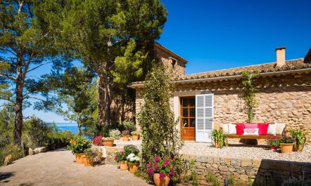 Spanish Breeze 1