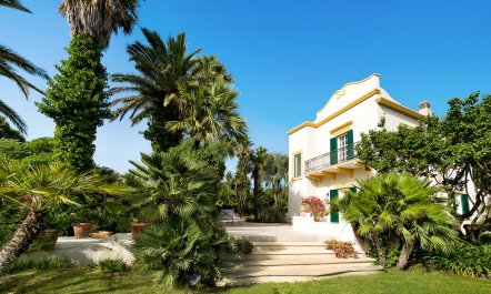 Palms & Pearls 5