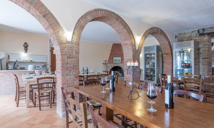 Charming Countryside Villa 9