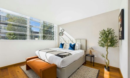 Camden Oasis 6